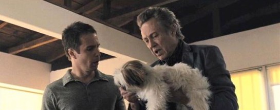 517503665_c_648_307-1